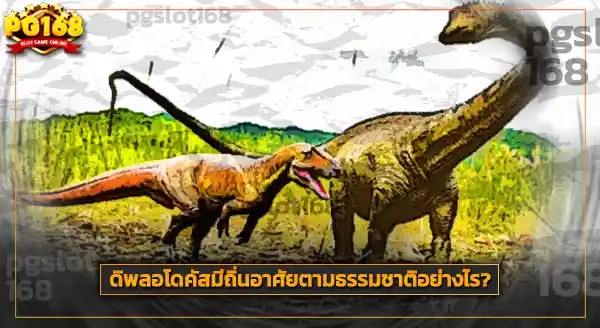 ประวัติการพบ ดิพลอโดคัส