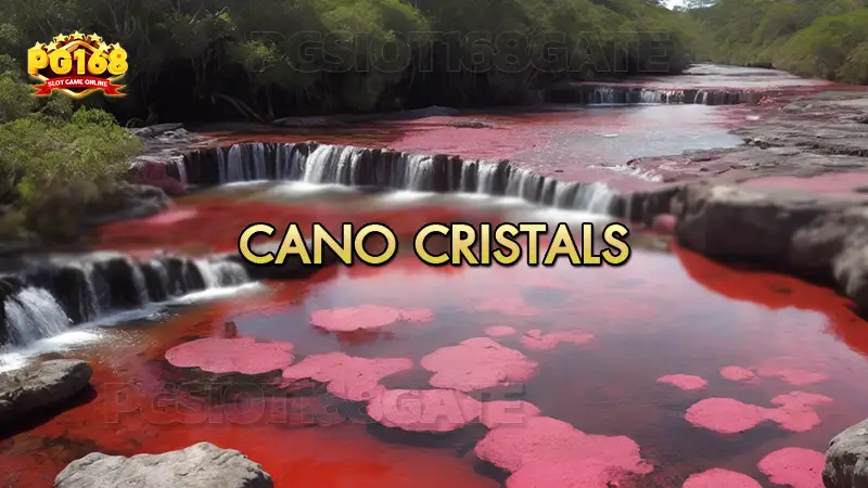Cano Cristales