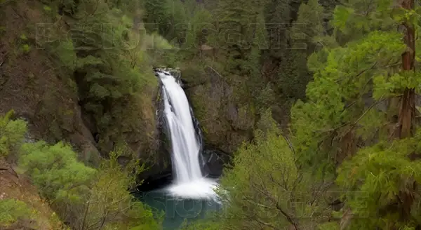 พาชม Horsetail Falls