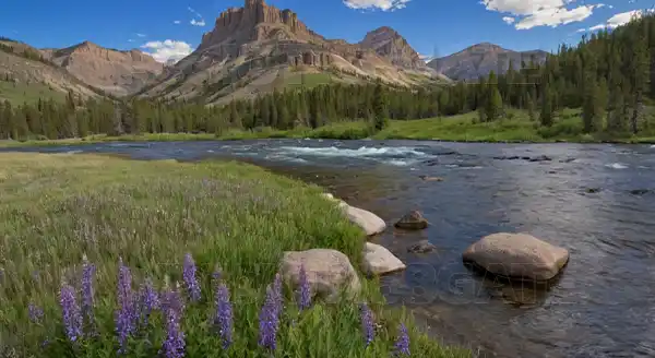 Yellowstone National Park