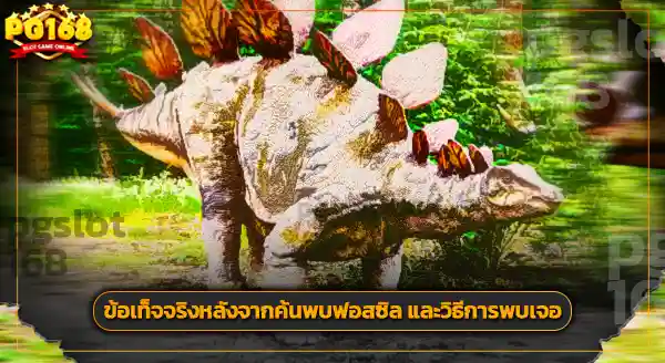 การค้นพบ สเตโกซอรัส