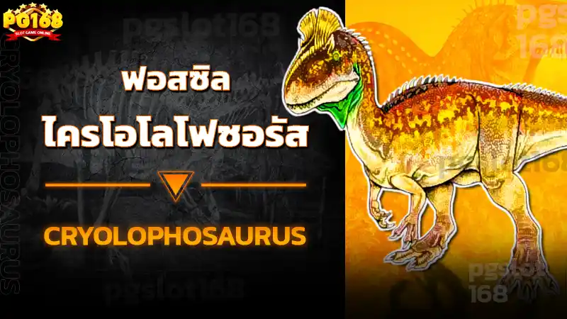 ฟอสซิล ไครโอโลโฟซอรัส