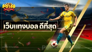 เว็บแทงบอล ดีที่สุด