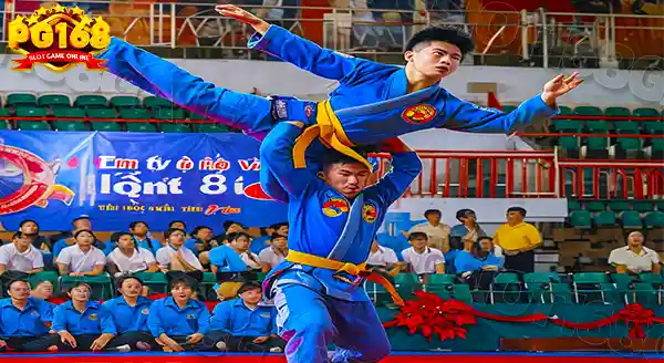 ความสำคัญ โววีนัม