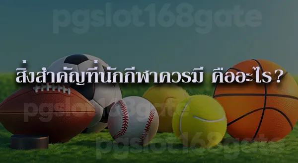 ประเภท ของกีฬา