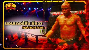 แอนเดอร์สัน ซิลวา ผลงานการชก