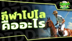 กีฬาโปโล คืออะไร