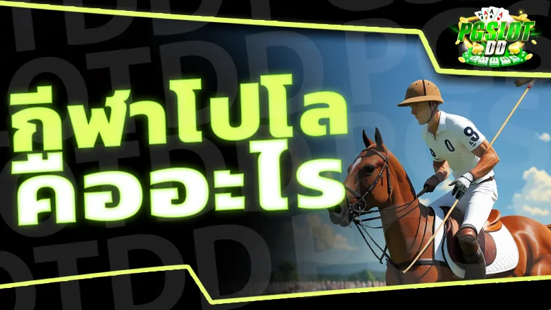 กีฬาโปโล คืออะไร