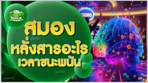 สมองหลั่งสารอะไร เวลาชนะพนัน